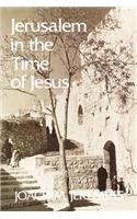 Jerusalem in the Time of Jesus: An Investigation Into Economic and Social Conditions During the New Testament Period