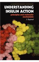 Understanding Insulin Action