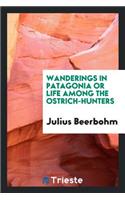 Wanderings in Patagonia; Or, Life Among the Ostrich-Hunters;