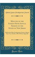 Minutes of the Eighty-Fifth Annual Session of the Synod of New Jersey: Held in the Olivet Presbyterian Church, Atlantic City, N. J., October, 1907; With an Appendix (Classic Reprint)