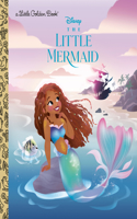 Little Mermaid (Disney the Little Mermaid)