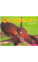 Octopuses