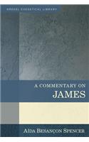 A Commentary on James