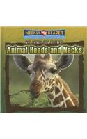 Animal Heads and Necks