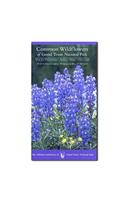 Common Wildflowers of Grand Teton National Park