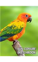 Sun Conure Sketchbook