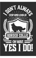 I Don't Always Stop and Look At Border Collie OH Wait, Yes I Do!