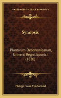 Synopsis