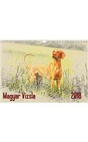 Magyar Vizsla 2018 / UK-Version 2018: Hungarian Pointers (Magyar Vizsla) in Artful Watercolor Style. Each Monthly Motive is a Work of Art.(Calvendo Animals)