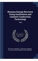 Biomass Energy Recovery Using Gasification and Catalytic Combustion Technology