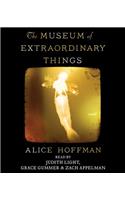The Museum of Extraordinary Things