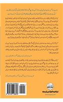 Extraterrestrial Intelligence: Amazing New Insights from Qur'an (Urdu Edition)