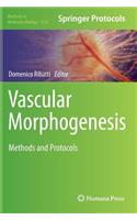 Vascular Morphogenesis