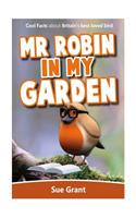 Mr Robin in My Garden