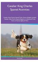 Cavalier King Charles Spaniel Activities Cavalier King Charles Spaniel Tricks, Games & Agility. Includes: Cavalier King Charles Spaniel Beginner to Advanced Tricks, Series of Games, Agility and More