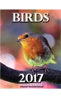 Birds 2017 Wall Calendar (UK Edition)