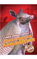 Nine-Banded Armadillos