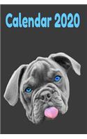 Bulldog Calendar 2020: Dog Calendar 2020 for Fans of French Bulldogs. 120 pages, yearly, monthly and weekly summit wiht even space for notes