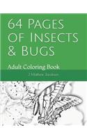64 Pages of Insects & Bugs
