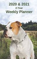 2020 & 2021 Weekly Planner - Two Year Appointment Book Gift - Two-Year Agenda Notebook for American Bulldog Owners