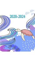 2020 - 2024