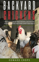 Backyard Chickens