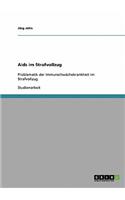 Aids im Strafvollzug: Problematik der Immunschwächekrankheit im Strafvollzug(German)