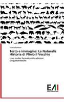 Testo E Immagine