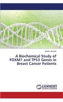 A Biochemical Study of FOXM1 and TP53 Genes in Breast Cancer Patients