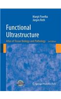 Functional Ultrastructure