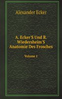 A. Ecker'S Und R. Wiedersheim'S Anatomie Des Frosches