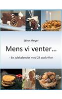 Mens vi venter...