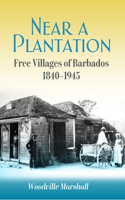 Near a Plantation