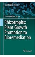 Rhizotrophs: Plant Growth Promotion to Bioremediation