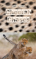 Cheetah Chases
