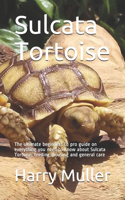 Sulcata Tortoise
