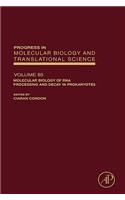 Molecular Biology of RNA Processing and Decay in Prokaryotes