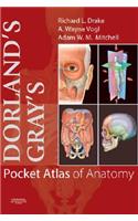 Dorland's Gray's Pocket Atlas of Anatomy