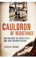 Cauldron of Resistance