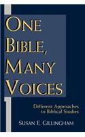 One Bible, Many Voices