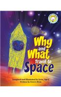 Why and What Travel to Space
