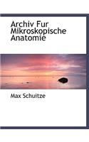 Archiv Fur Mikroskopische Anatomie