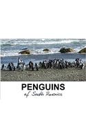 Penguins of South America 2018