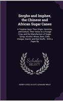 Sorgho and Imphee, the Chinese and African Sugar Canes