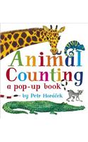 Animal Counting