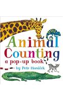 Animal Counting