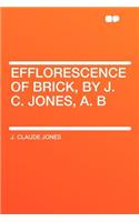 Efflorescence of Brick, by J. C. Jones, A. B