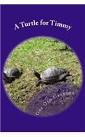 A Turtle for Timmy
