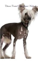 Chinese Crested Dog August Notebook Chinese Crested Dog Record, Log, Diary, Special Memories, to Do List, Academic Notepad, Scrapbook & More