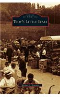 Troy's Little Italy